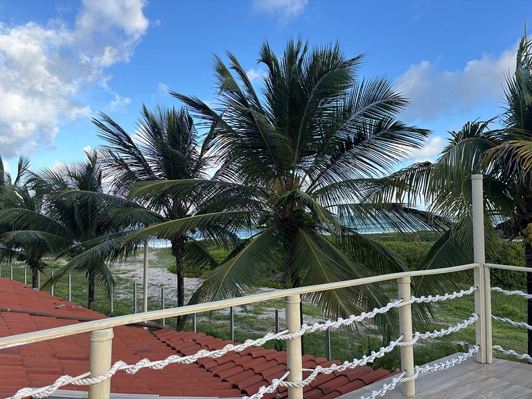 Piratas do Caribe - Casa das Conchas